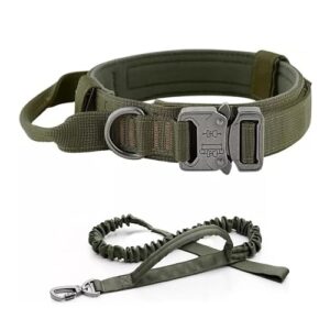 Collier tactique militaire pour chien avec laisse, poignée épaisse, réglable et robuste (ensemble collier vert + laisse, taille XL)