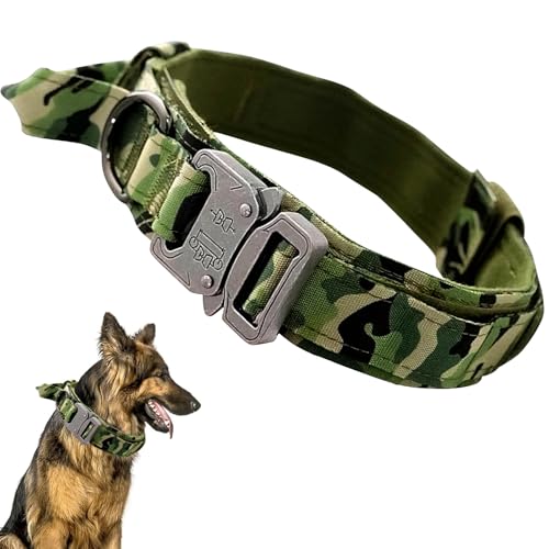 Ledeak Collier de Chien Tactique, Collier Réglable Militaire en Nylon avec Poignée de Commande, Laisse de Chien Bungee Tactique avec Boucle en Métal pour Chiens de Taille Moyenne Chasse