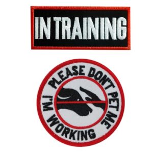 SIRLOMU 2 PIECES BADGE TACTIQUE POUR CHIEN DE SERVICE ÉPINGLÉ À LA BRODERIE AVEC VELCRO PATCH MILITAIRE VESTE BANDE DE VÊTEMENT (pour chiens moyens et grands)