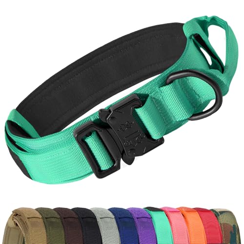 Joytale Collier Chien Tactique, Réglable Collier pour Chien avec poignée pour Chiens de Taille Grande Collier de Chien de 3,8 cm de Large Collier de Chien en Nylon, Turquoise, L